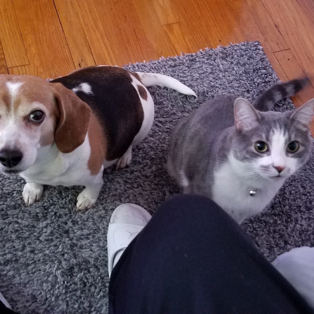 Meet your Posher, Adam